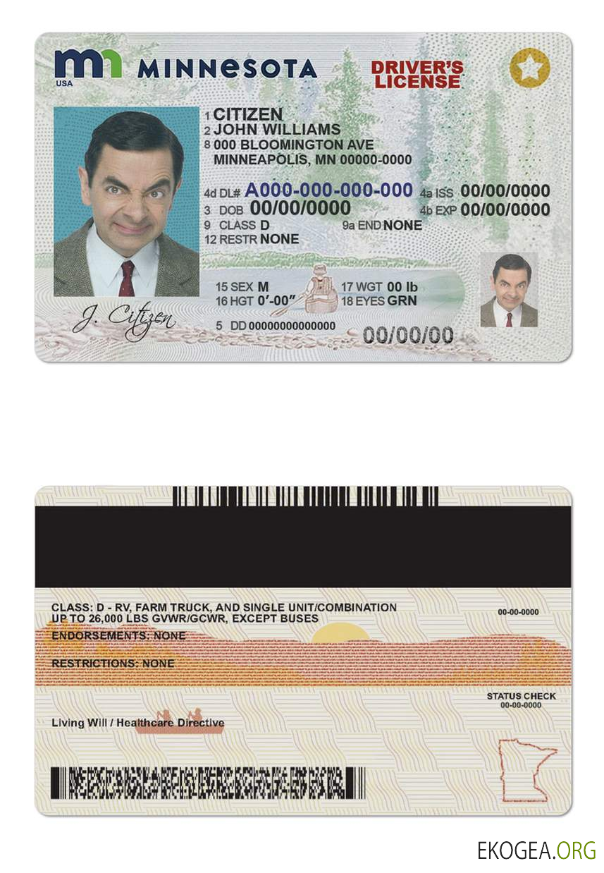 Usa Minnesota template